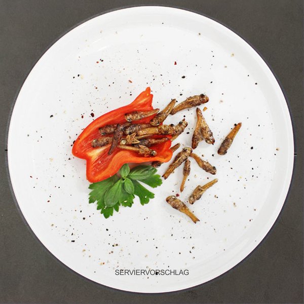 Heuschrecken - 15g Insekten zum Kochen & Essen