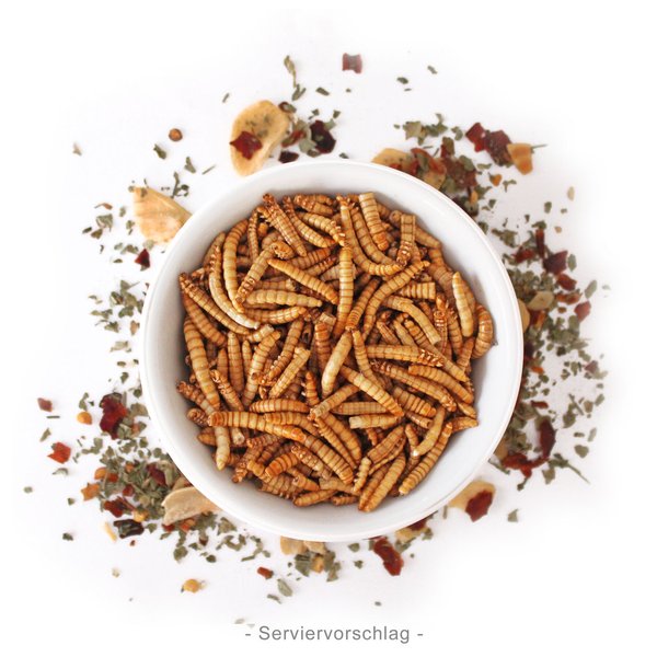 Mehlwürmer - 40g Insekten zum Kochen & Essen