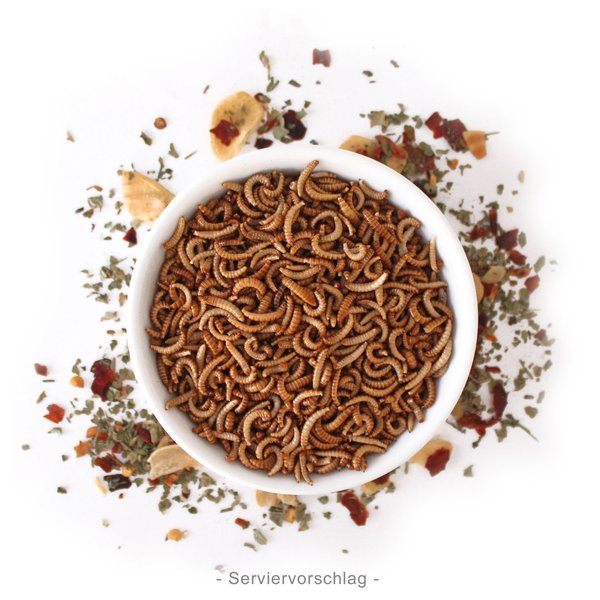 Buffalowürmer - 40g Insekten zum Kochen & Essen